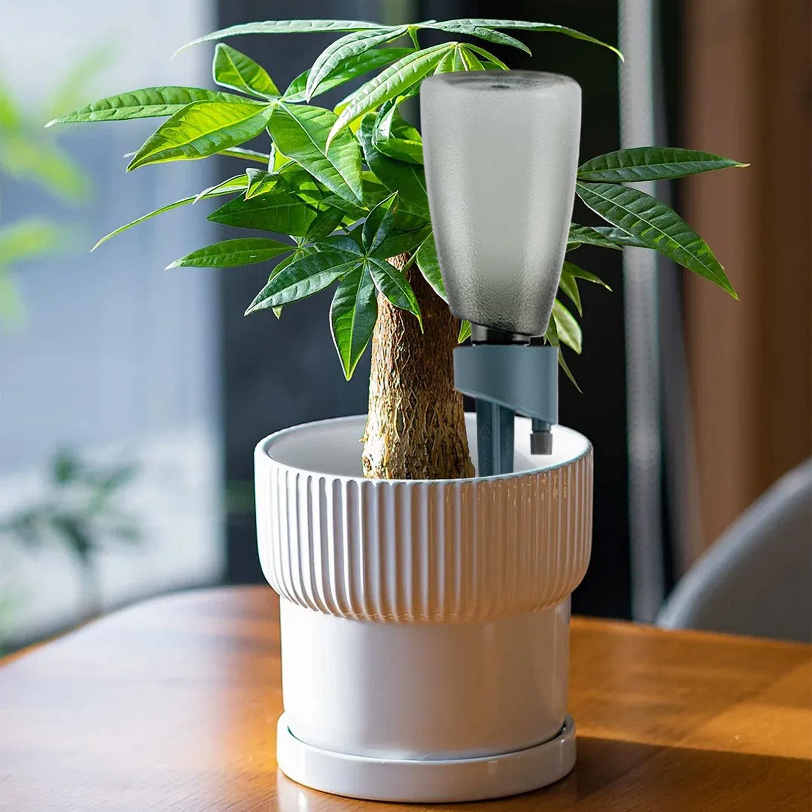 6pcs Automatic Waterer Househo - Self Watering Insert 评论和价格