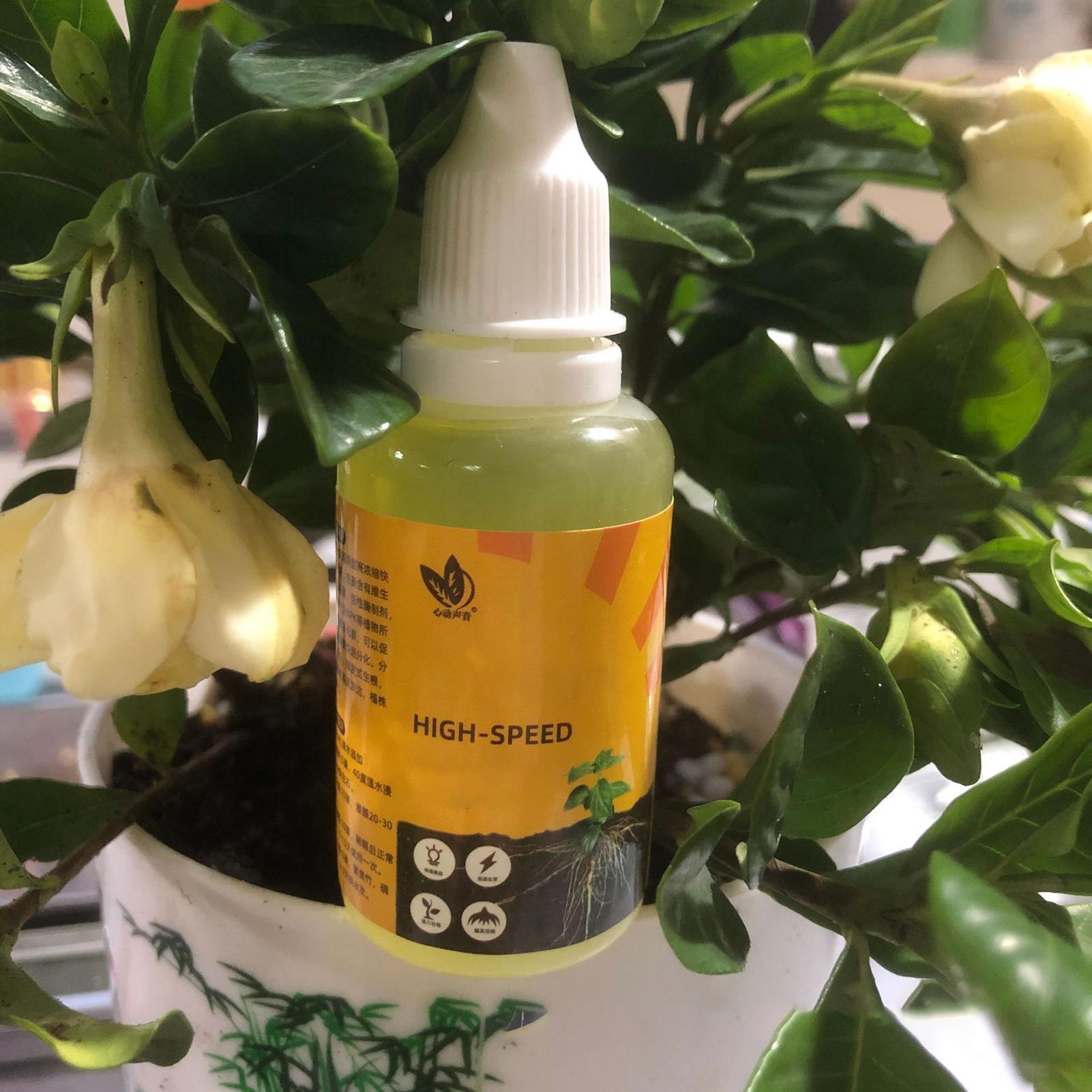 50ml Plant Rooting Stimulator  - Root Stimulator Liquid 评论和价格